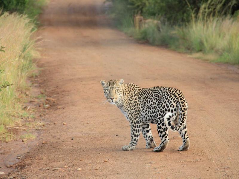 水浒传忠义堂<br>qyo4ufag.cn 替天行道旗帜